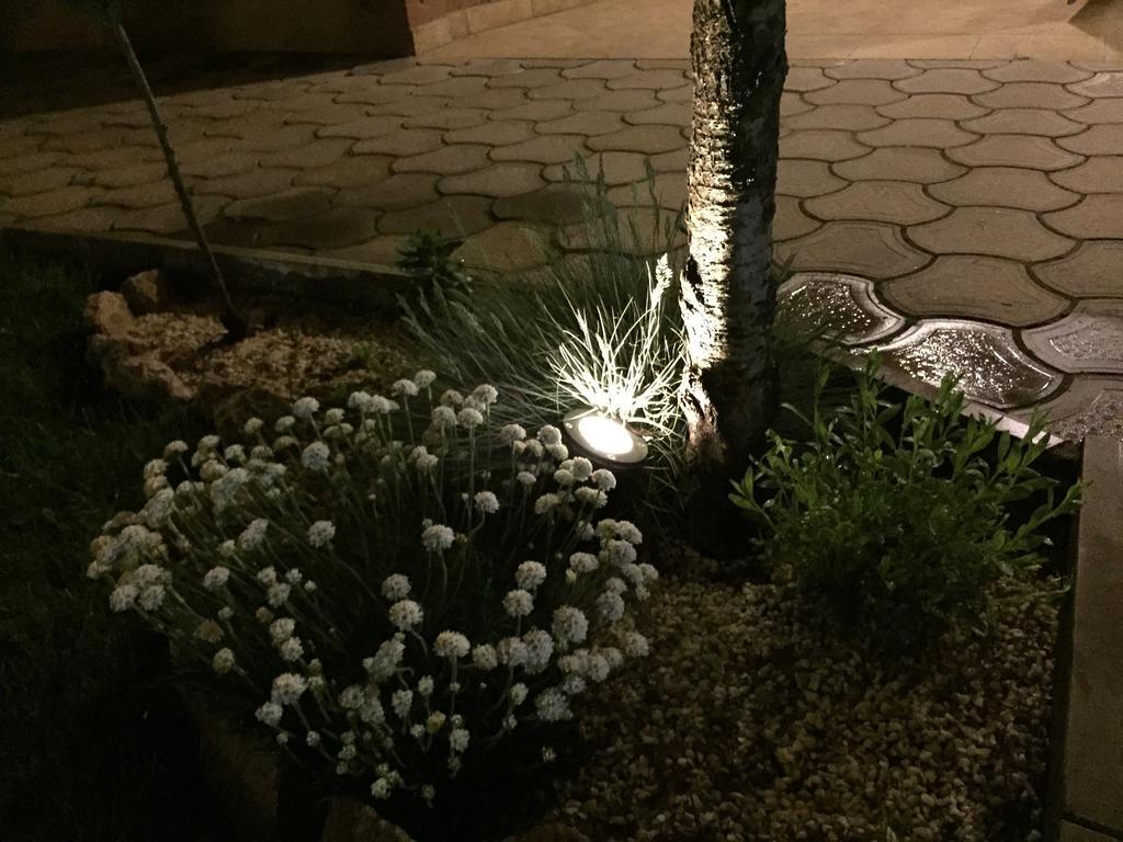 Veliko Gradište Villa I Spa Stevic מראה חיצוני תמונה