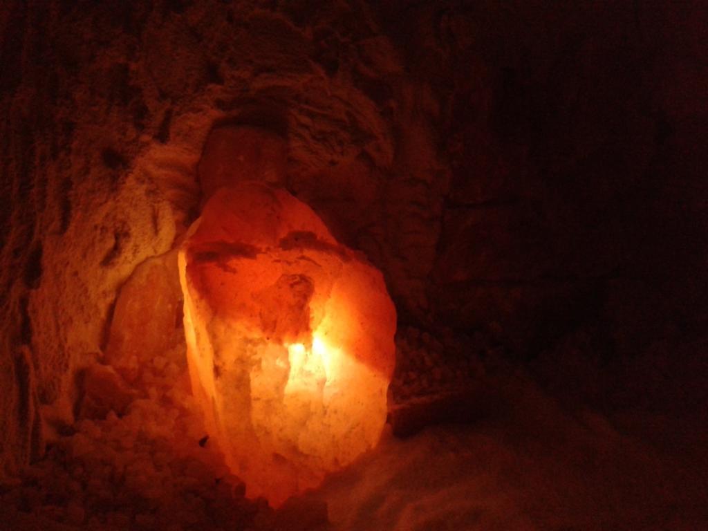 Veliko Gradište Villa I Spa Stevic מראה חיצוני תמונה