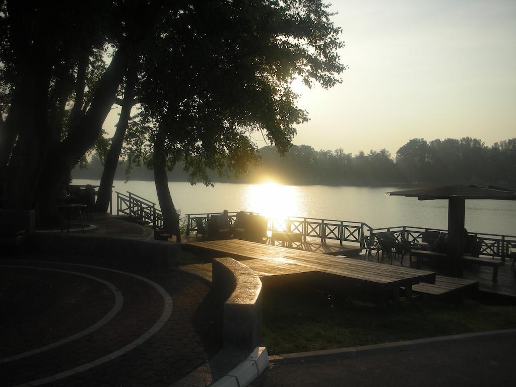 Veliko Gradište Villa I Spa Stevic מראה חיצוני תמונה