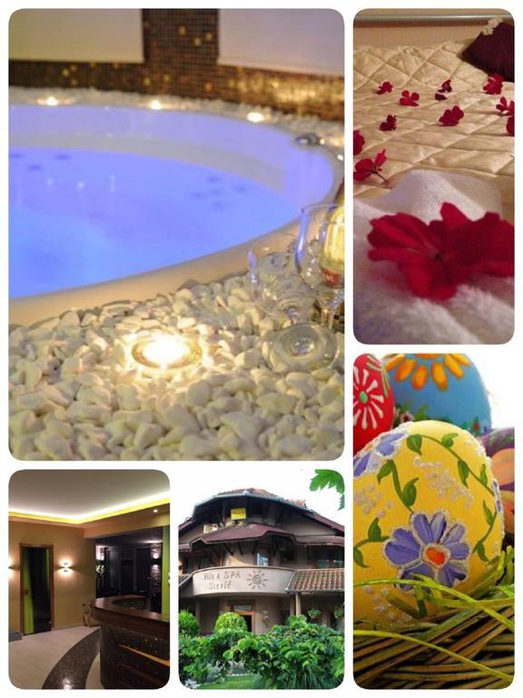 Veliko Gradište Villa I Spa Stevic מראה חיצוני תמונה